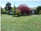 4800 Mitchell Highway, Orange NSW 2800