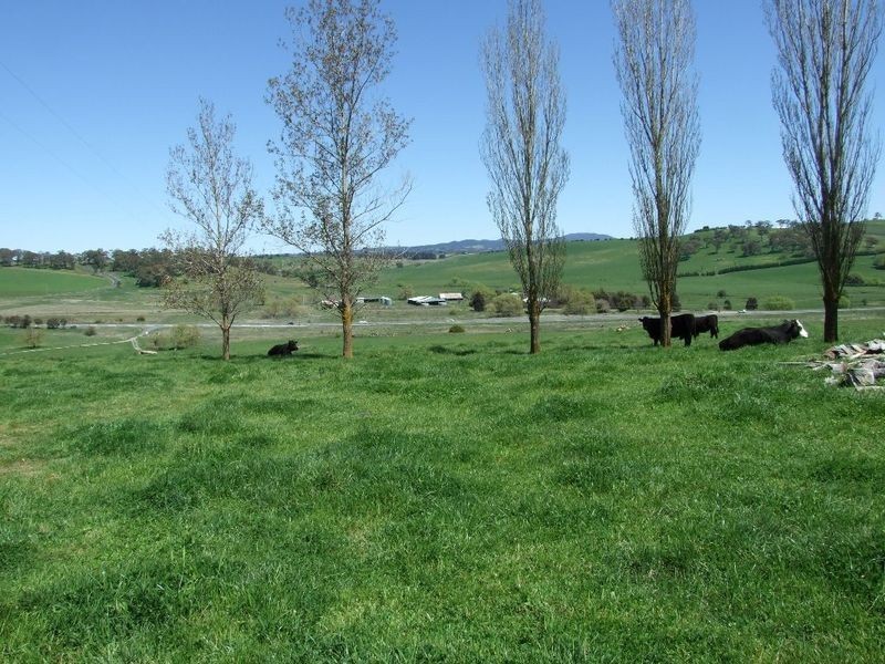 4800 Mitchell Highway, Orange NSW 2800