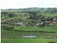 4800 Mitchell Highway, Orange NSW 2800