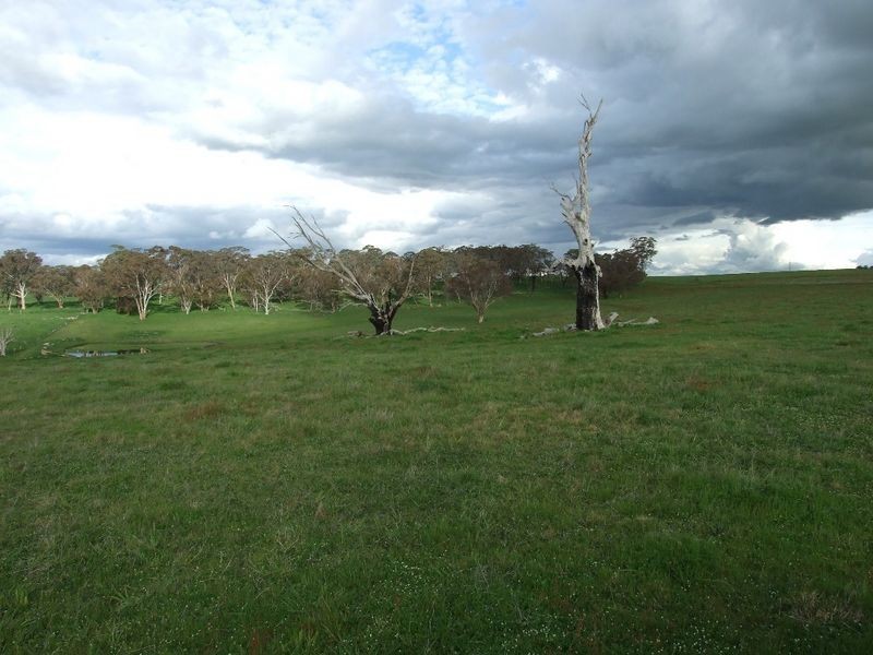 4800 Mitchell Highway, Orange NSW 2800