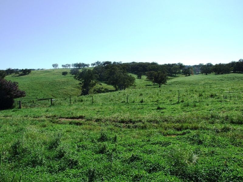 Belyarra McDonald Road, Orange NSW 2800