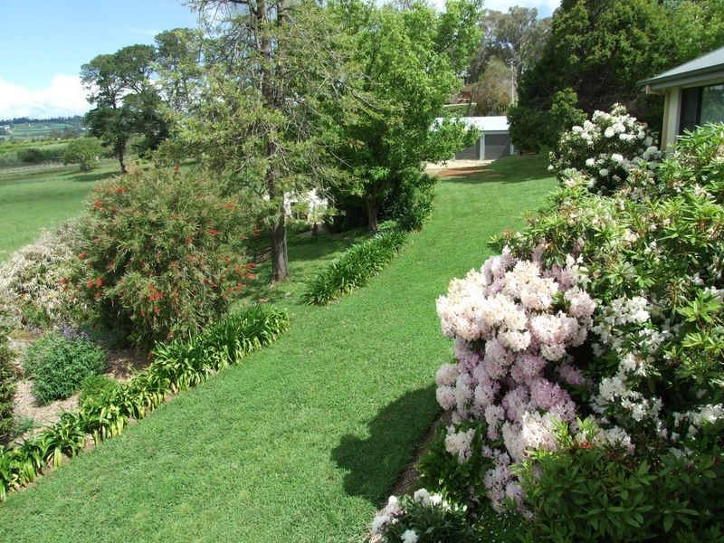 204 Borenore Road, Nashdale NSW 2800