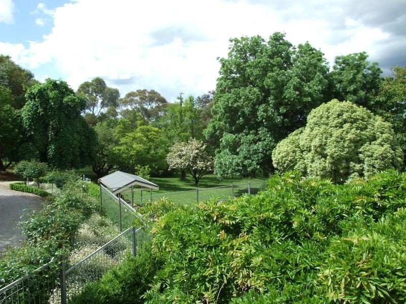 204 Borenore Road, Nashdale NSW 2800