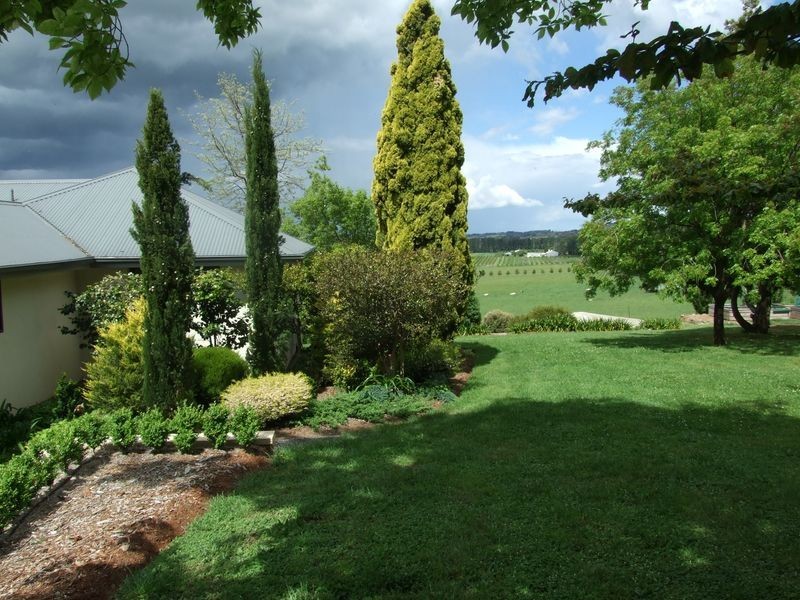 204 Borenore Road, Nashdale NSW 2800