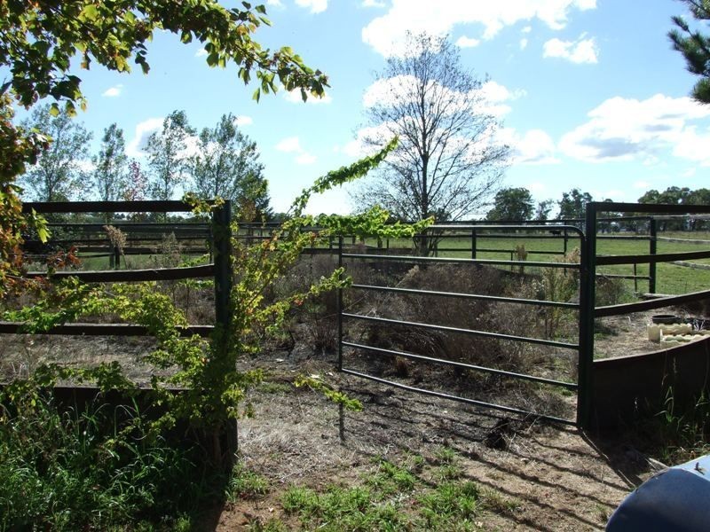 Rivendell Tallwood Road, Forest Reefs NSW 2798