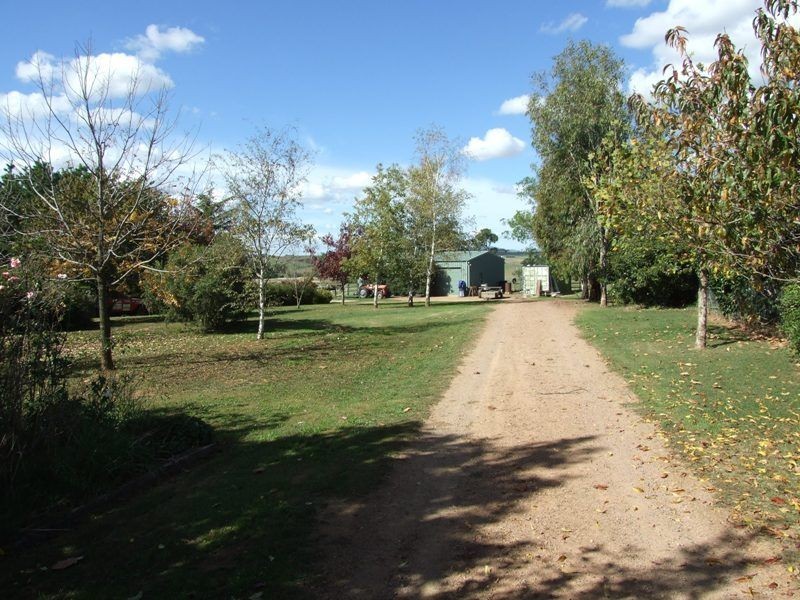 Rivendell Tallwood Road, Forest Reefs NSW 2798