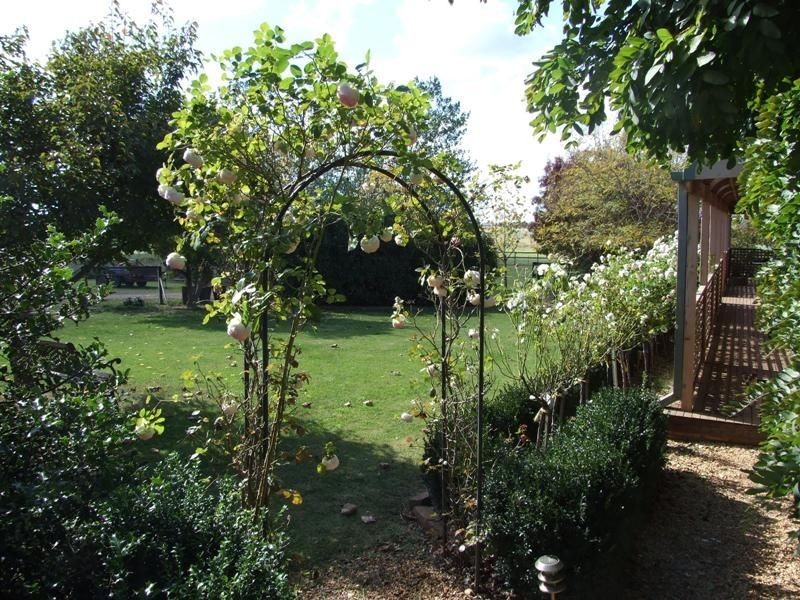 Rivendell Tallwood Road, Forest Reefs NSW 2798