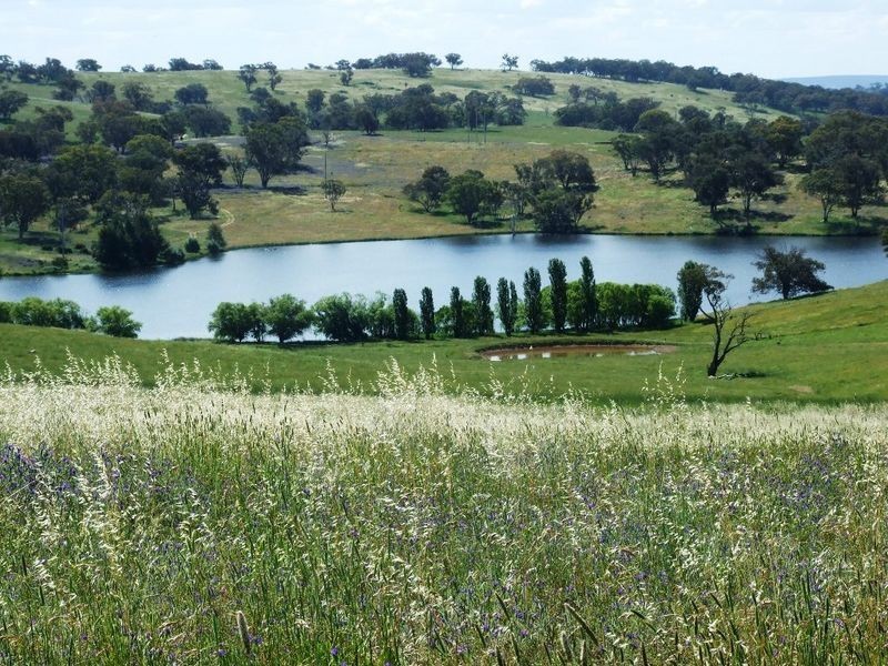 Lots 220 & James Dalton Lane, Orange NSW 2800