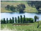 Lots 220 & James Dalton Lane, Orange NSW 2800