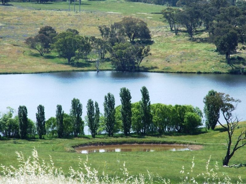 Lots 220 & James Dalton Lane, Orange NSW 2800