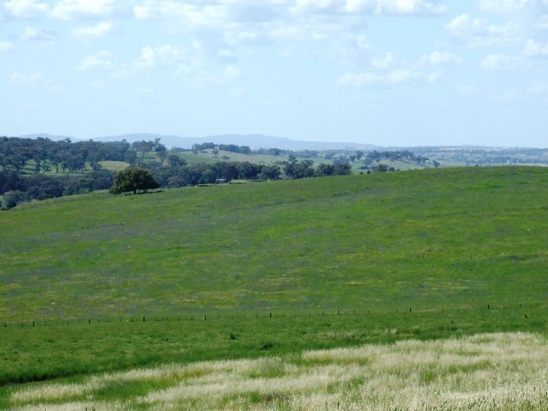 Lots 220 & James Dalton Lane, Orange NSW 2800