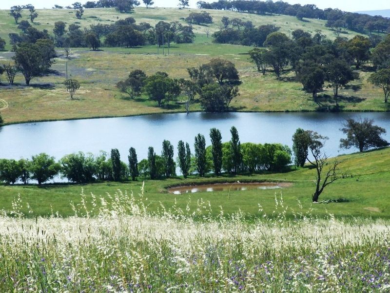 Lots 220 & James Dalton Lane, Orange NSW 2800