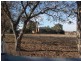 “Hazeldene Borenore Road, Orange NSW 2800