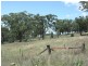Brigalow Kangaroobie Lane, Orange NSW 2800