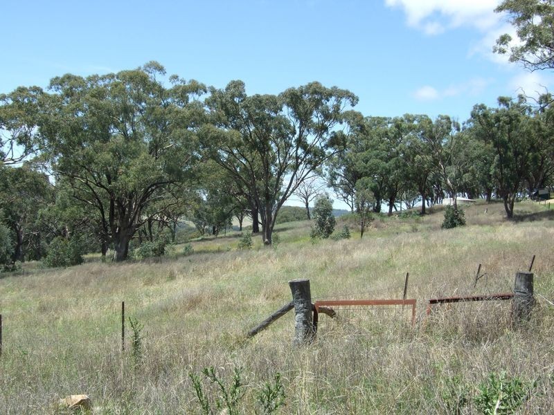 Brigalow Kangaroobie Lane, Orange NSW 2800