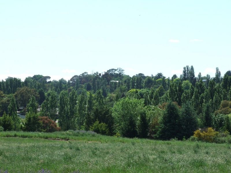 Lot 218 Poplars Estate, Orange NSW 2800