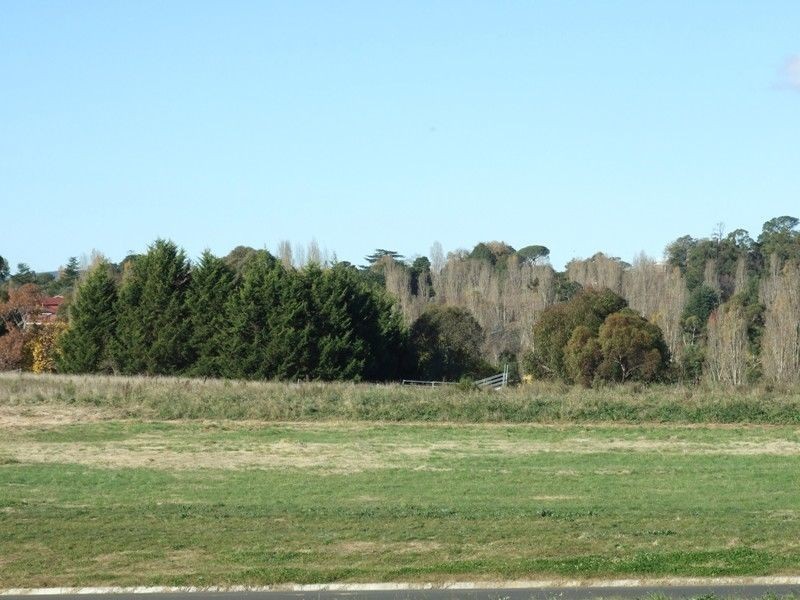 Lot 218 Poplars Estate, Orange NSW 2800