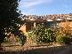 Orange NSW 2800