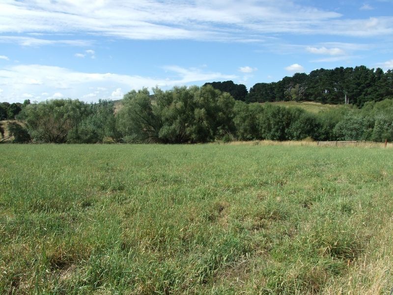 317 Tallwood Road, Forest Reefs NSW 2798