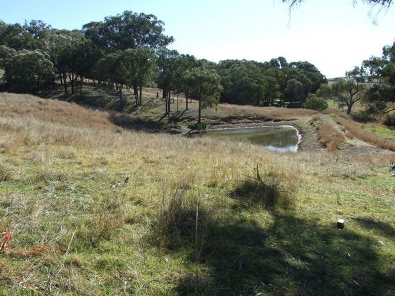 126 McMurrays Lane, Cargo NSW 2800