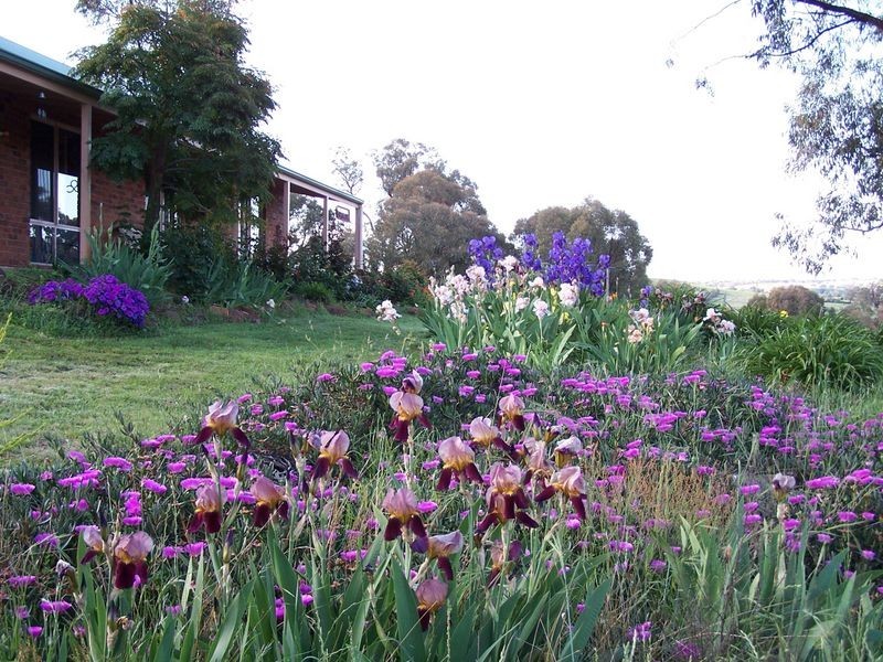 126 McMurrays Lane, Cargo NSW 2800