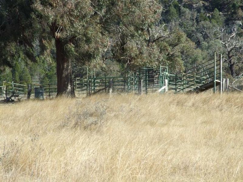 126 McMurrays Lane, Cargo NSW 2800