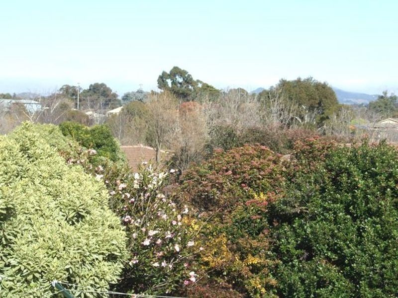 11 Rawle Avenue, Orange NSW 2800