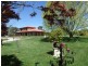 Snowline Pinnacle Road, Orange NSW 2800