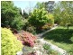 Snowline Pinnacle Road, Orange NSW 2800