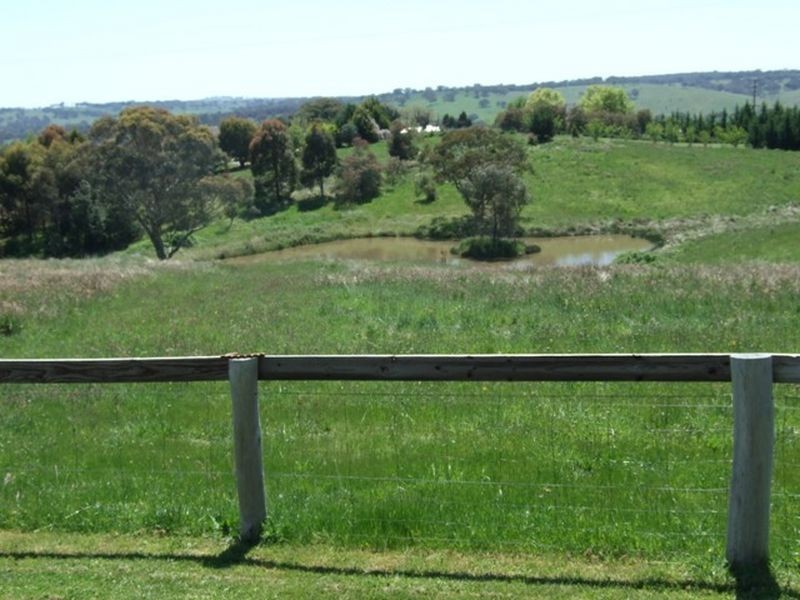 204 Murphy Lane, Orange NSW 2800