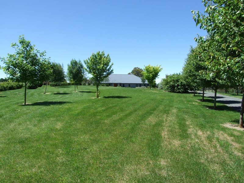 21 Hiney Road, Orange NSW 2800