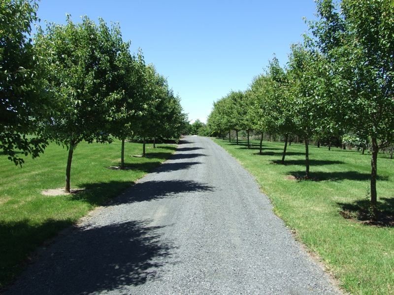 21 Hiney Road, Orange NSW 2800