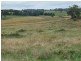 639 Tallwood Road, Forest Reefs NSW 2798