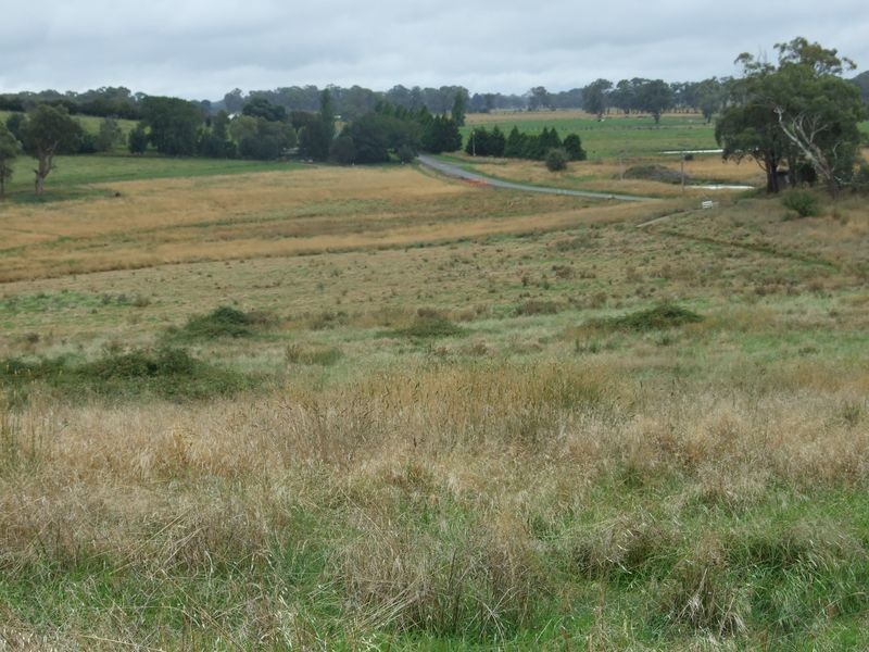 639 Tallwood Road, Forest Reefs NSW 2798