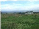 639 Tallwood Road, Forest Reefs NSW 2798