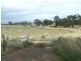 639 Tallwood Road, Forest Reefs NSW 2798
