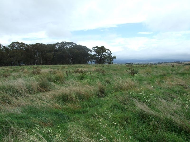 639 Tallwood Road, Forest Reefs NSW 2798