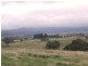 639 Tallwood Road, Forest Reefs NSW 2798