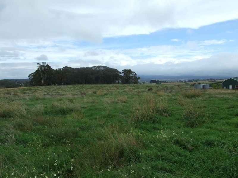 639 Tallwood Road, Forest Reefs NSW 2798