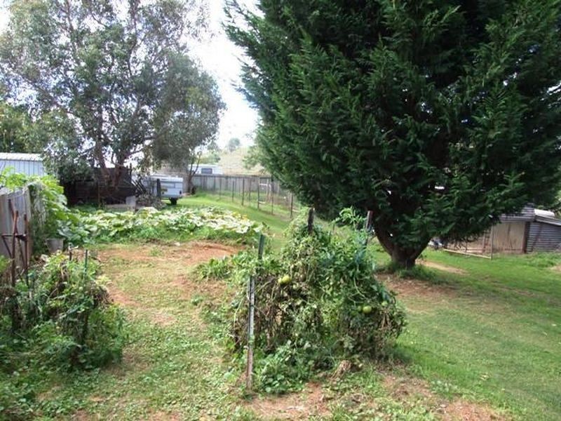 136 Spurway Lane, Orange NSW 2800