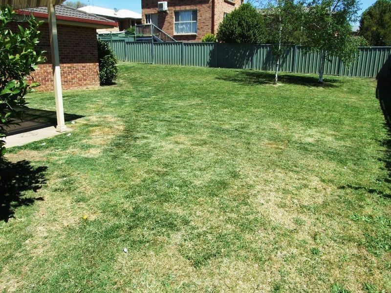 2 Albion Place, Orange NSW 2800