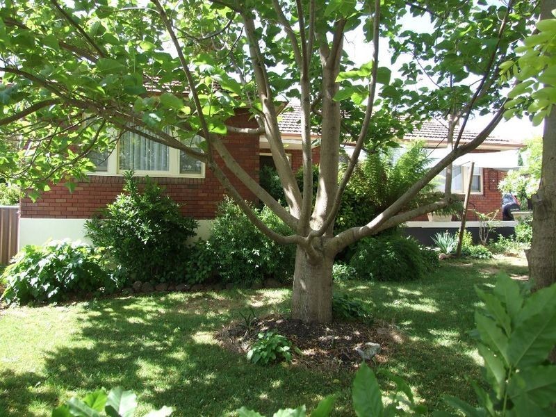 25 Casey Street, Orange NSW 2800