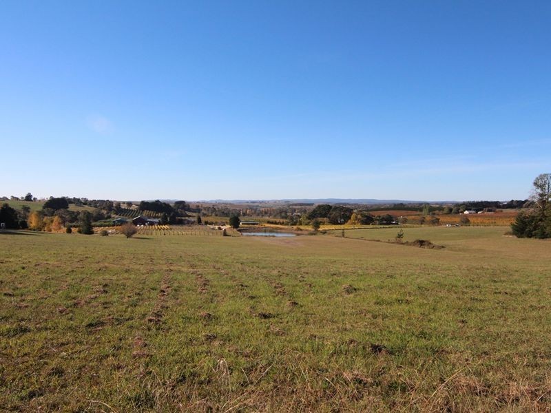 41 Darley Road, Orange NSW 2800