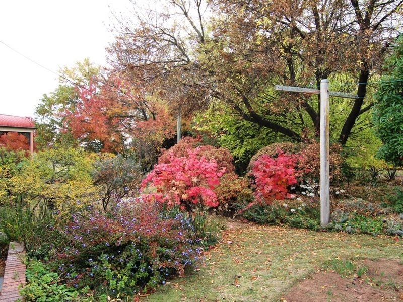 41 Darley Road, Orange NSW 2800