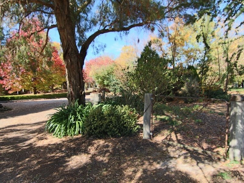 41 Darley Road, Orange NSW 2800