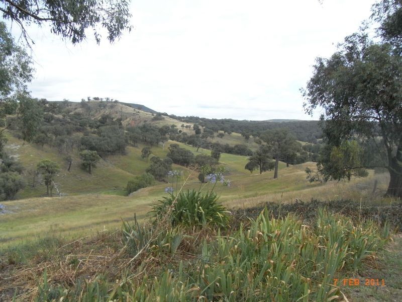 “Kirmingto McMurrays Lane, Orange NSW 2800