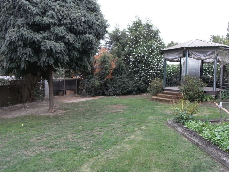 17 Crinoline St, Orange NSW 2800