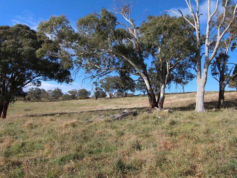 216 Long Swamp Road, Orange NSW 2800