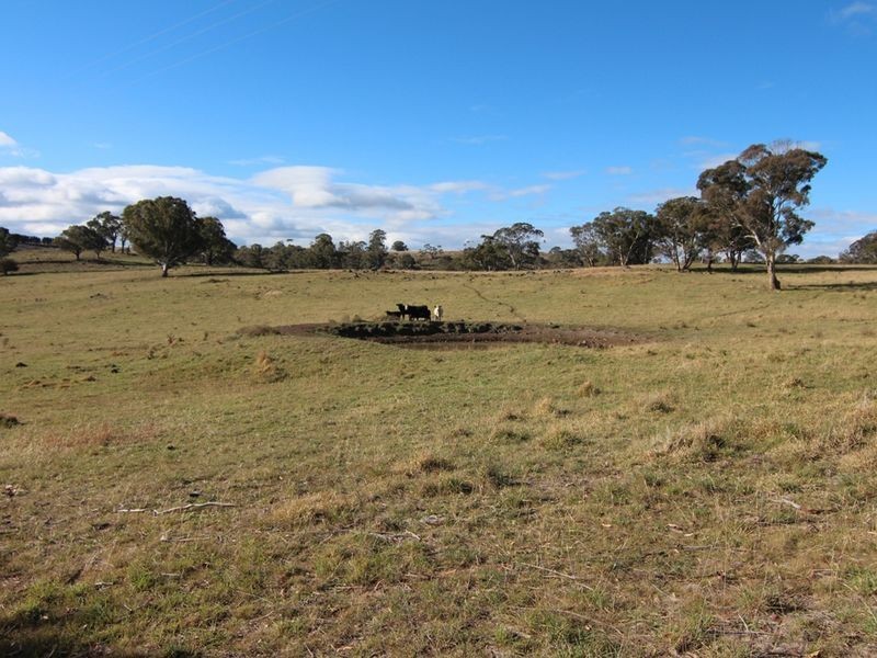 216 Long Swamp Road, Orange NSW 2800