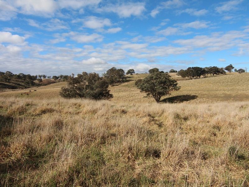 216 Long Swamp Road, Orange NSW 2800